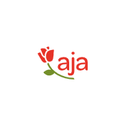 Aja DE
