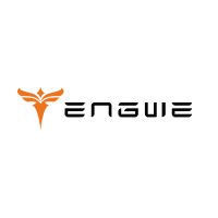 Engwe