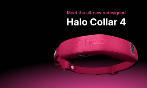 Halo Collar